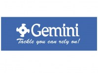 Gemini-Genie6