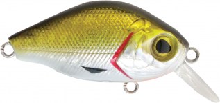 BB CRANK 05 - Gold Ayu - 5 scatole uguali