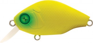 BB CRANK 05 - Olive Bone - 5 scatole uguali
