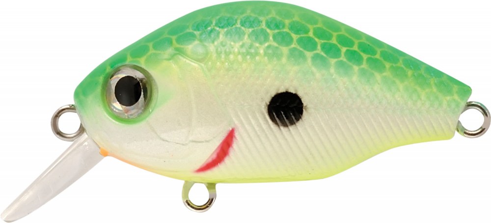 BB CRANK 05 - Olive Bone - 5 scatole uguali