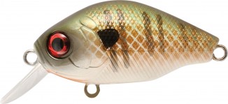 BB CRANK 05 - Olive Bone - 5 scatole uguali