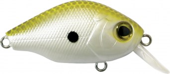 BB CRANK 05 - Olive Bone - 5 scatole uguali
