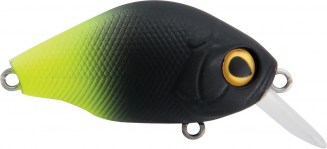 BB CRANK 05 - Olive Bone - 5 scatole uguali