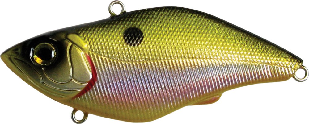 UNDER RATTLE - 5 scatole uguali