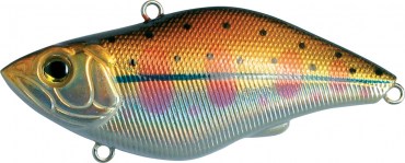 UNDER RATTLE - 5 scatole uguali