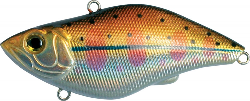 UNDER RATTLE - 5 scatole uguali