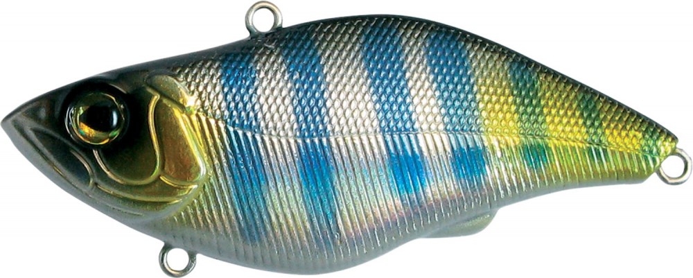 UNDER RATTLE - 5 scatole uguali