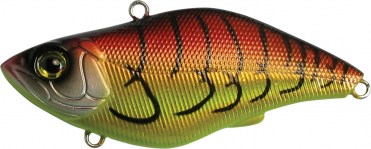 UNDER RATTLE - 5 scatole uguali