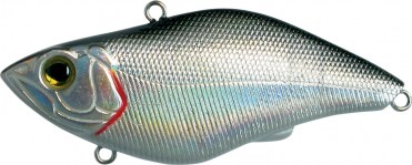 UNDER RATTLE - 5 scatole uguali