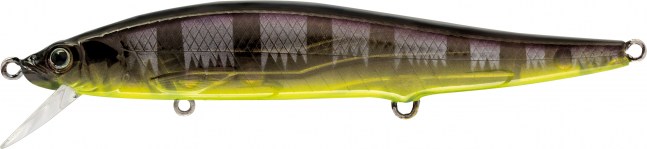 180-24-(001-101)_OneBait_SR