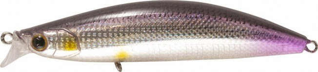 180-44-(9-0)42_Bayliner(BS)8