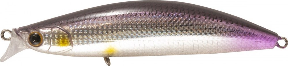 180-44-(9-0)42_Bayliner(BS)8