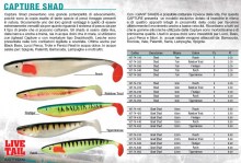 CAPTURE SHAD 18cm - 10 scatole uguali