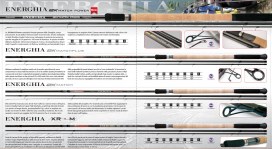 ENERGHIA 2K MATCH POWER 4.5mt 10-30gr