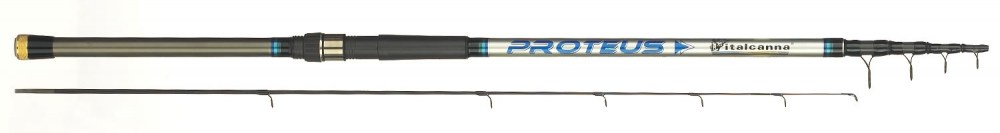 PROTEUS 3.0mt 100-200gr cima ad innesto