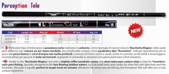 PERCEPTION TELE 6.3mt